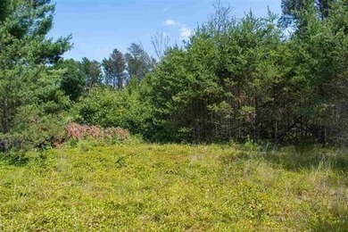 Prime Castle Rock Lake Waterfront, 171' of Frontage, priced $35 - photo 3