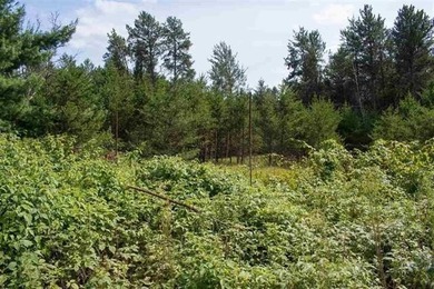 Prime Castle Rock Lake Waterfront, 171' of Frontage, priced $35 - photo 4