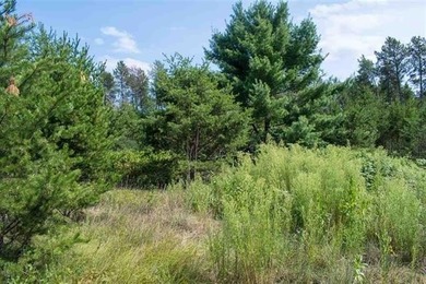 Prime Castle Rock Lake Waterfront, 171' of Frontage, priced $35 - photo 5