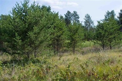 Prime Castle Rock Lake Waterfront, 171' of Frontage, priced $35 - photo 6