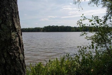 Prime Castle Rock Lake Waterfront, 171' of Frontage, priced $35 - photo 8