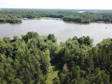 Prime Castle Rock Lake Waterfront, 171' of Frontage, priced $35 - photo 9