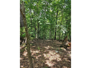 Beaver Lake Acreage For Sale in Lowell Arkansas