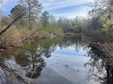 (private lake, pond, creek) Acreage For Sale in Ridge Spring South Carolina