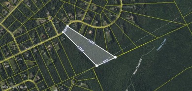 Indian Mountain Lakes Acreage For Sale in Albrightsville Pennsylvania