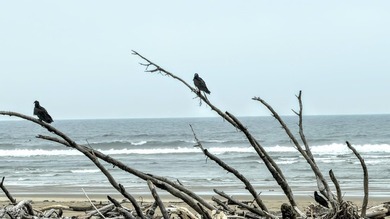 Looking for an opportunity to create your own coastal getaway? - photo 23