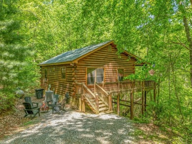 Lake Home For Sale in Blue Ridge, Georgia