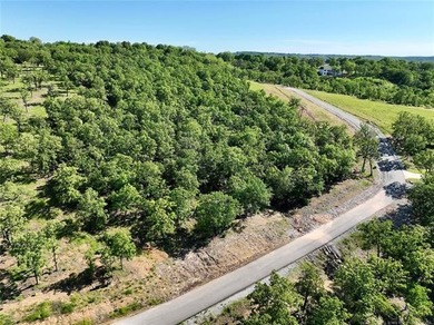 ABSOLUTE STUNNING LAKE VIEWS YEAR-ROUND ON THIS 1.36-ACRE LOT IN - photo 4