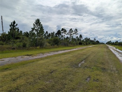 Lake Lot For Sale in Indian Lake Estates, Florida