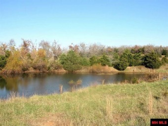 ATTENTION DEVELOPERS and INDIVIDUALS  SOLD - Lake Acreage SOLD! in Mountain Home, Arkansas