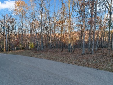 This 2.30-acre double-parcel lot in Fairfield Glade offers the - photo 11