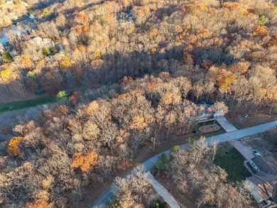 This 2.30-acre double-parcel lot in Fairfield Glade offers the - photo 12
