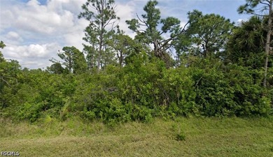 Prime residential lot in a fast-growing area of Port Charlotte! - photo 1