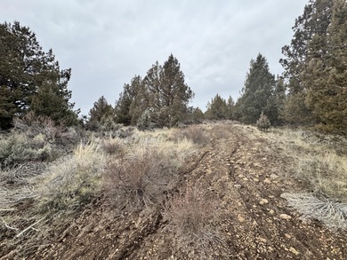 Sprague River Lot For Sale in Sprague River Oregon