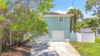 Lake Home For Sale in St. Petersburg, Florida