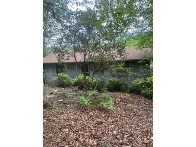 Lake Home For Sale in Blairsville, Georgia