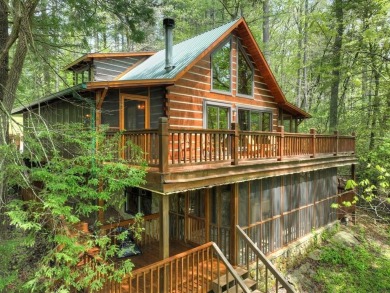 Lake Home For Sale in Suches, Georgia