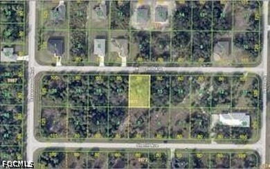 Port Charlotte Waterway Area Lot For Sale in Port Charlotte Florida