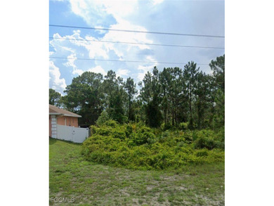 Lehigh Acres Area Lot For Sale in Lehigh Acres Florida