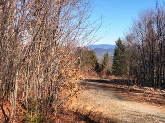 Moosehead Lake Acreage For Sale in Greenville Maine