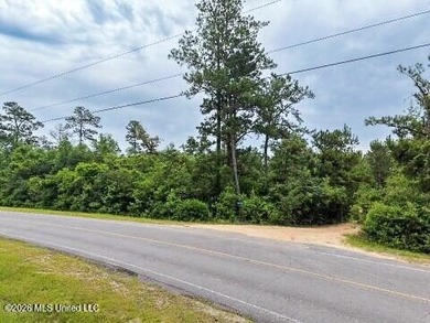 RIVERFRONT LAND! Rare opportunity to own 14+/- acres of fully - photo 11