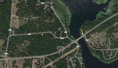 Undisturbed 3.39 Prime Acres Close To The Best Lake In Wood - photo 12