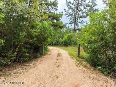 RIVERFRONT LAND! Rare opportunity to own 14+/- acres of fully - photo 13