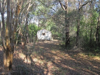 Bonable Lake Lot Sale Pending in Dunnellon Florida