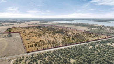 Proctor Lake Acreage For Sale in Dublin Texas