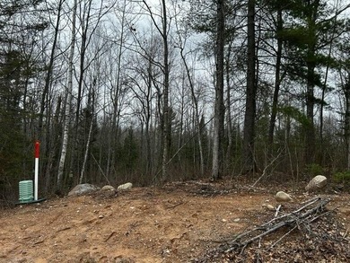 Lot 7 on Butternut Circle-Come and enjoy the peace and quiet of - photo 2