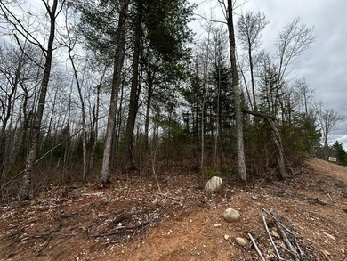 Lot 7 on Butternut Circle-Come and enjoy the peace and quiet of - photo 3