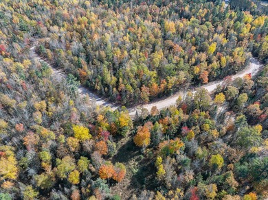 Lot 7 on Butternut Circle-Come and enjoy the peace and quiet of - photo 5