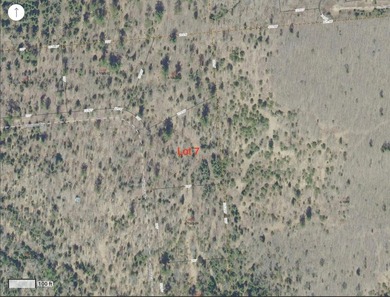 Lot 7 on Butternut Circle-Come and enjoy the peace and quiet of - photo 6