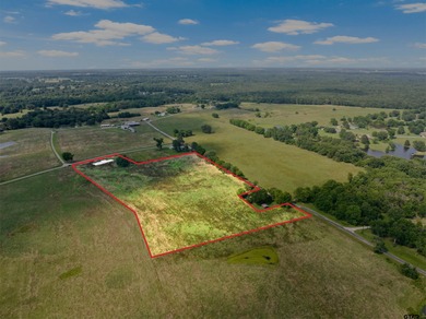 (private lake, pond, creek) Acreage For Sale in Pittsburg Texas