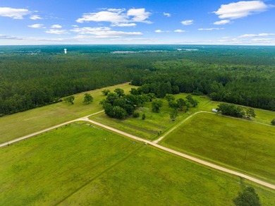 Experience the ultimate in privacy and tranquility with this - photo 18