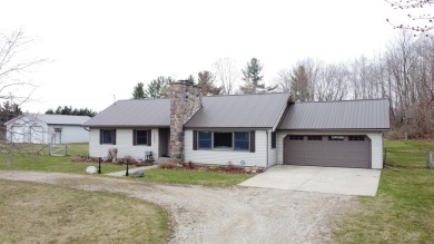 Chippewa Lake Home For Sale in Rodney Michigan