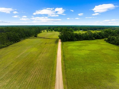 Experience the ultimate in privacy and tranquility with this - photo 23