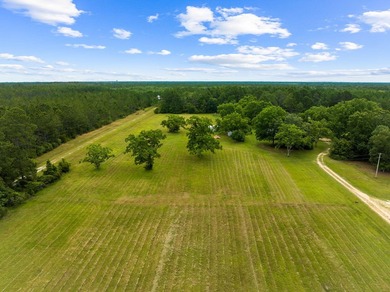 Experience the ultimate in privacy and tranquility with this - photo 30