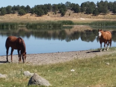 (private lake, pond, coastal) Acreage For Sale in Sprague River Oregon