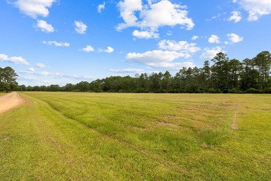 Experience the ultimate in privacy and tranquility with this - photo 42