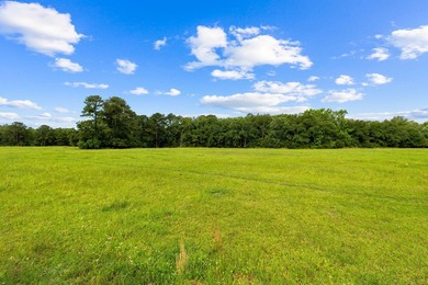 Experience the ultimate in privacy and tranquility with this - photo 50