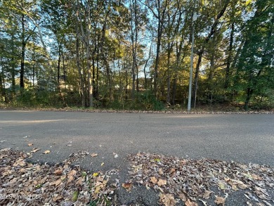 Lake Lot For Sale in Nesbit, Mississippi