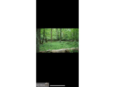 (private lake, pond, creek) Acreage For Sale in Lilburn Georgia