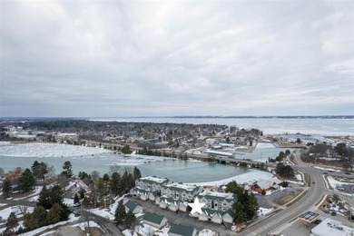 (private lake, pond, creek) Condo For Sale in Elk Rapids Twp Michigan