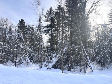 Wisconsin River - Vilas County Lot For Sale in Eagle River Wisconsin