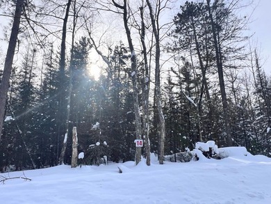 Wisconsin River - Vilas County Lot For Sale in Eagle River Wisconsin