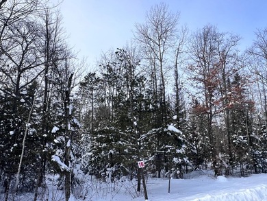 Wisconsin River - Vilas County Lot For Sale in Eagle River Wisconsin