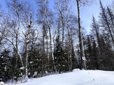 Wisconsin River - Vilas County Lot For Sale in Eagle River Wisconsin