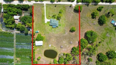 Places like this are disappearing fast in SWFL. Your private - photo 5