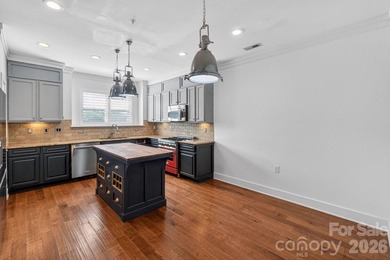 Stunning Corner Brownstone townhome with Expansive Rooftop - photo 21